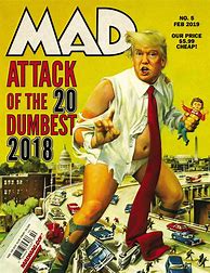 Image result for Mad Magazine Cover Issues