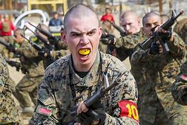 Image result for Marine Corps Artillery