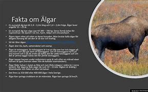 Image result for aljagre�o