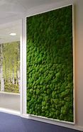 Image result for Interior Moss Wall