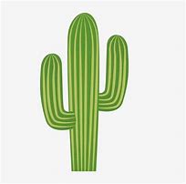 Image result for Scottsdale Cactus SVG