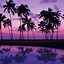 Image result for Hawaii Sunset iPhone