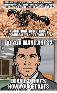 Image result for Zoolander Ants Meme