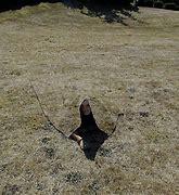 Image result for Invisibility Cloak for Military