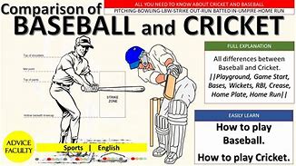 Image result for Cricket versus Baseball