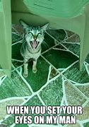 Image result for Snarky Cat Meme