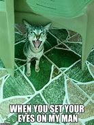 Image result for Wheezing Cat Meme
