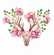 Image result for Watercolor Deer Skull