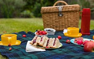 Image result for picnic