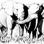 Image result for Cartoon Elephant Clip Art Black and White
