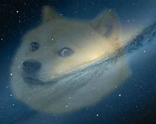Image result for Galaxy Doge R6