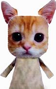 Image result for El Gato Cat Meme in Outfit