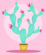 Image result for Sonoran Cactus with Pink Flowers