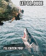 Image result for Catch Memes