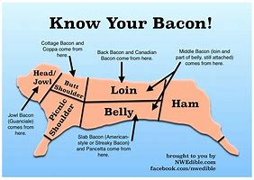 Image result for Bacon Is Made Of