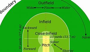 Image result for Labeled Cricket Pitch