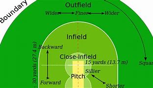 Image result for Cricket Diagram