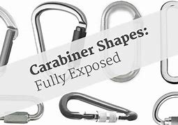 Image result for Carabiner Shapes