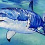 Image result for Shark Artwork