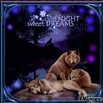 Image result for Good Night Wolves