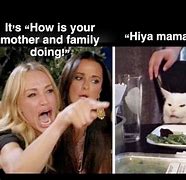 Image result for Woman Yelling at Cat Meme High Resolution