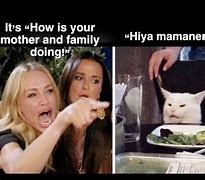 Image result for Angry Woman and Cat Meme
