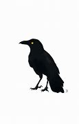 Image result for Crow Flying GIF Transparent