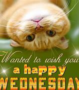 Image result for Happy Wednesday Memes Flowers