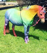 Image result for Purple Rainbow Unicorn