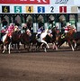 Image result for Madrid Horse Racing