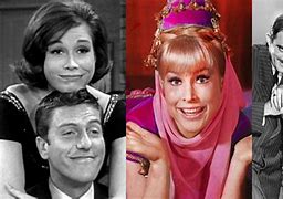 Image result for 60s Sitcoms