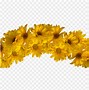 Image result for Yellow Crown No Highlights