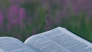 Image result for Summer Bible Reading