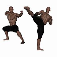 Image result for Mixed Martial Arts Wallpaper