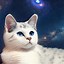 Image result for Galactic Cat Art