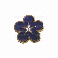 Image result for Masonry Pin Forget Me Not