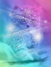 Image result for Savage Cat Galaxy Wallpaper