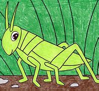 Image result for Simple Grasshopper Drawing
