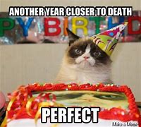 Image result for Birthday Funny Grumpy Cat Memes