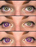 Image result for UV Purple Contact Lenses