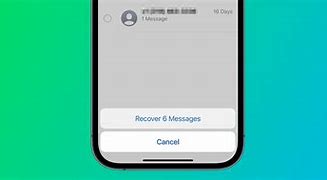 Image result for How to Get Deleted Photos iPhone