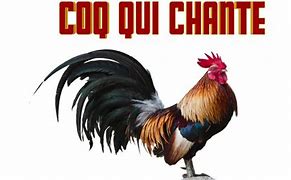 Image result for Le Chant Du Coq