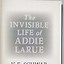 Image result for The Invisible Life of Addie LaRue Constellation