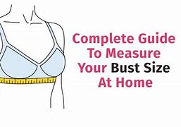 Image result for Bust Size in Cm