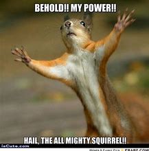 Image result for Hello Squirrel Meme