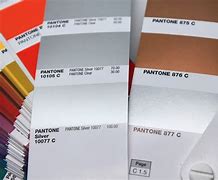 Image result for Silver Pantone