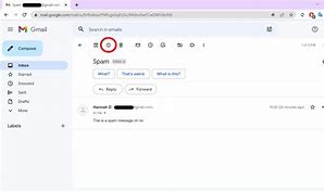 Image result for Spam Button in Gamil