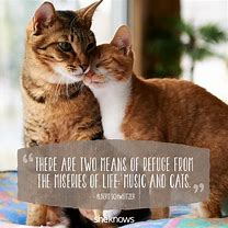 Image result for Beautiful Animal Quotes