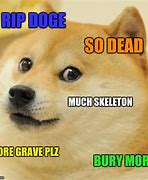 Image result for Doge Meme Dead
