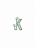Image result for Letter K Logo Design
